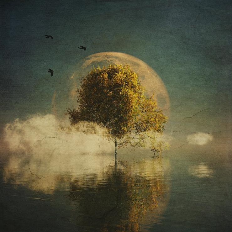 surrealistic-landscape-with-yellow-birch-and-full-moon-jan-keteleer